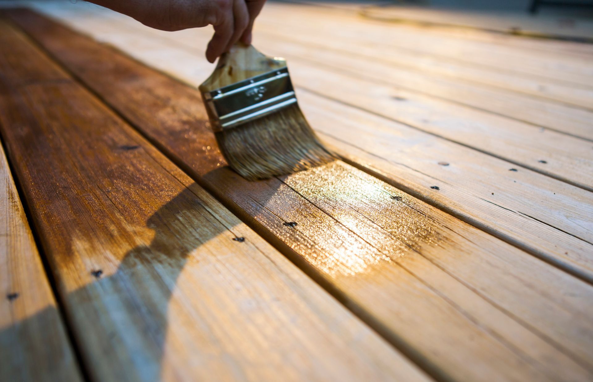 Male carpenter applying varnish to wooden deck.