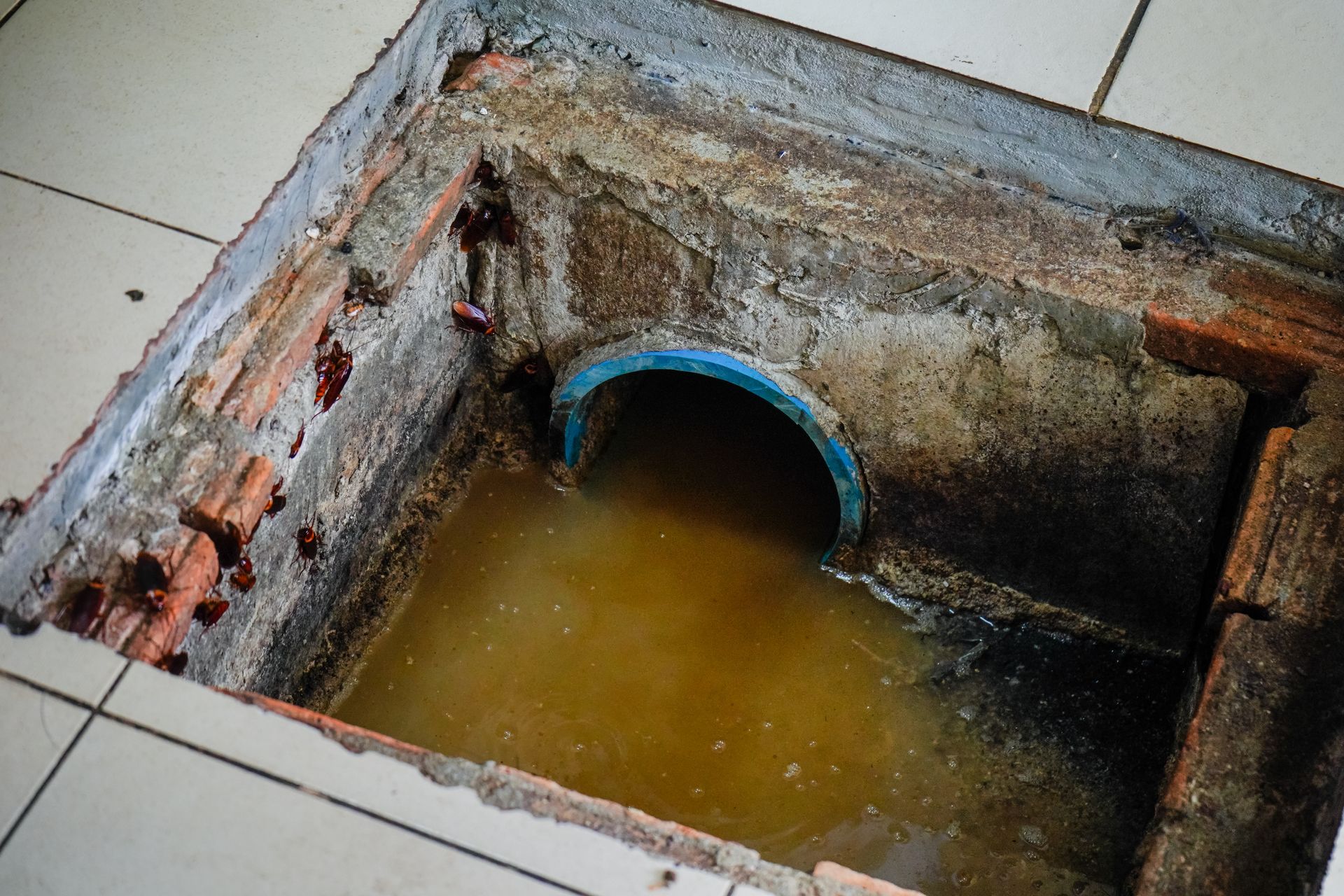 Open sewer access with standing brown water and a blue pipe.