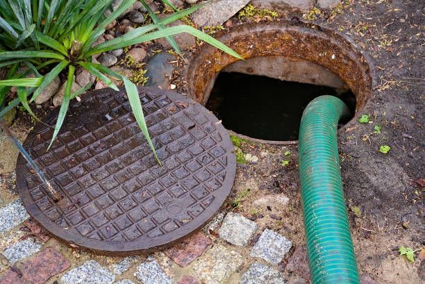 Open manhole with a green hose inside, next to a brick ground and plants.