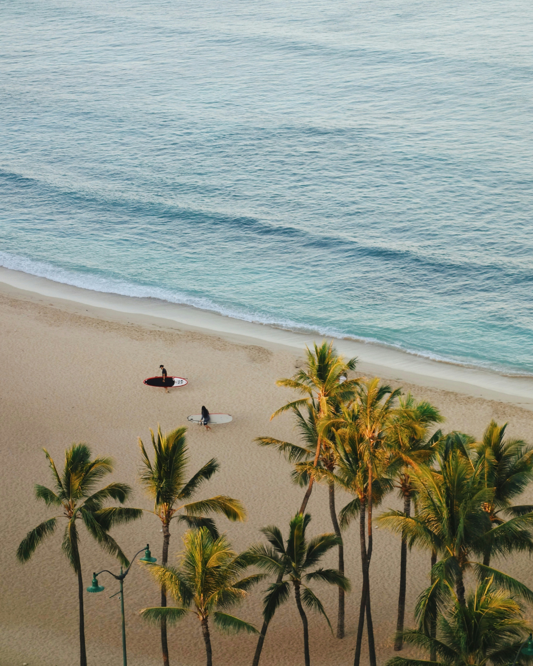 Two people carrying surfboards walk along a sandy beach near palm trees and the ocean.