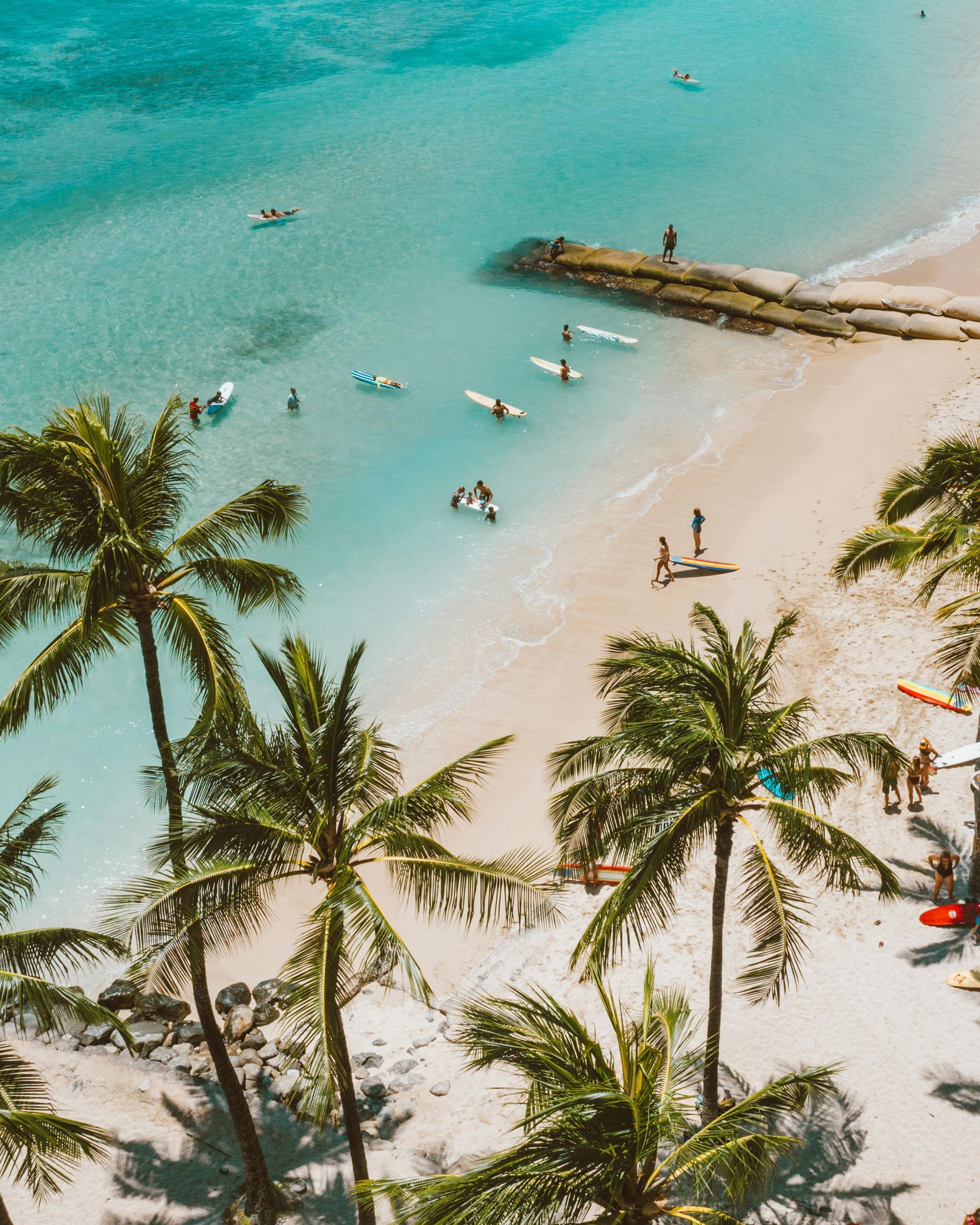Palm trees frame a turquoise ocean and sandy beach with surfers and people enjoying the water.
