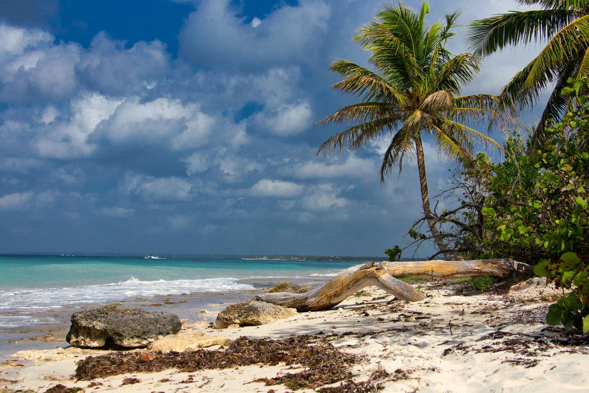A palm tree leans over a white sandy beach with turquoise water and a cloudy blue sky.