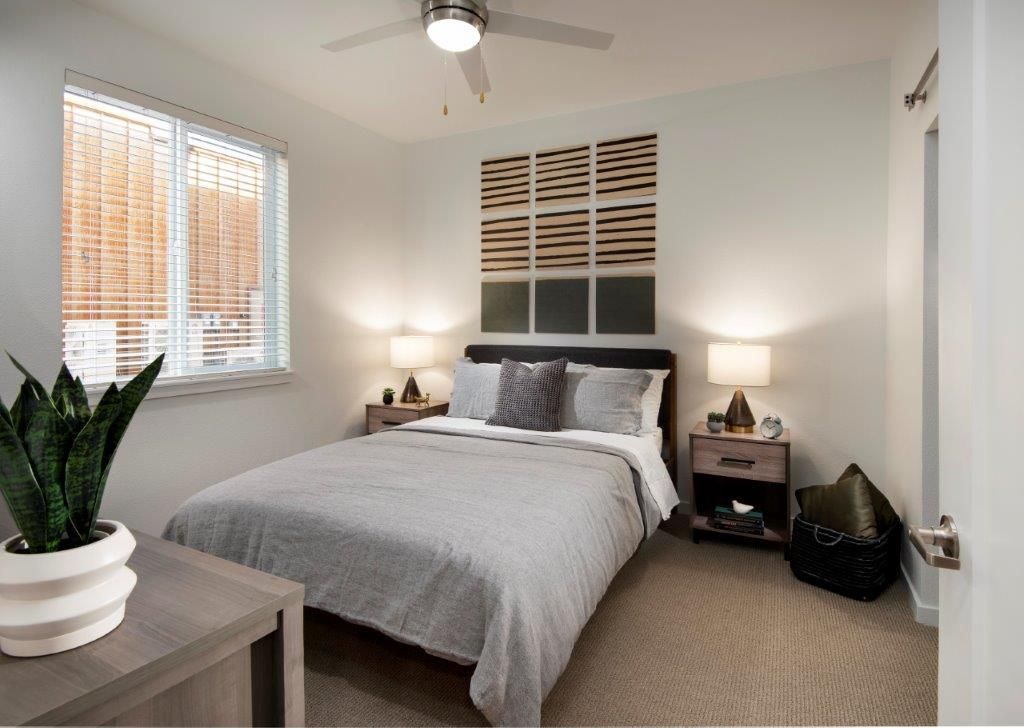 Bedroom in a modern apartment with a queen bed, two nightstands, lamps, and a potted plant.