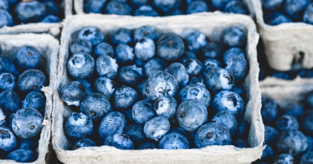 A bunch of blueberries are in a cardboard box.