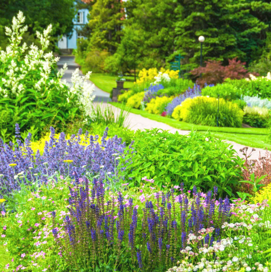 A colorful garden path lined with vibrant flowers and green foliage.