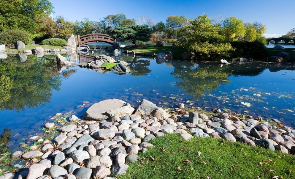 A bridge over a body of water in a park