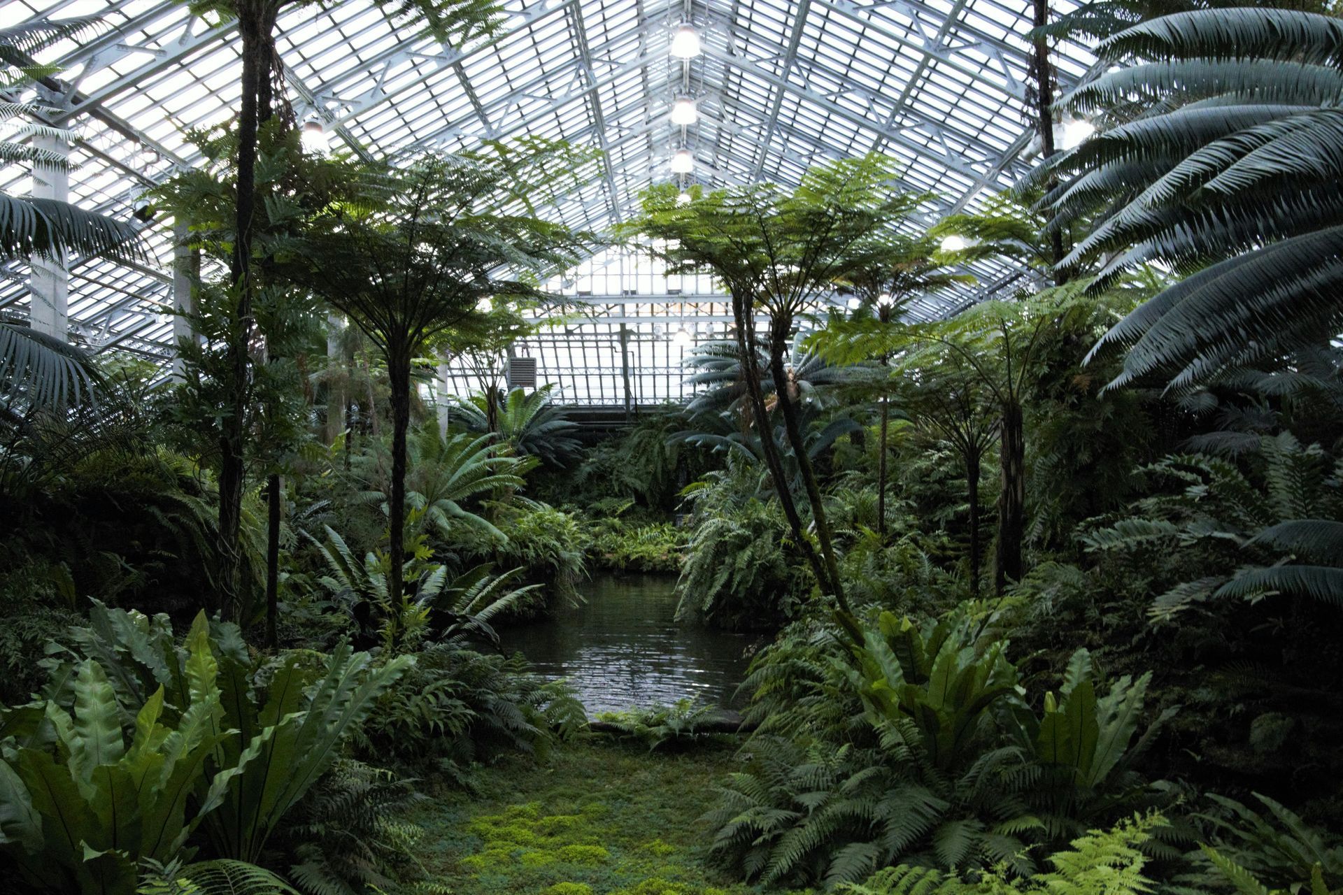 A greenhouse filled with lots of plants and trees.