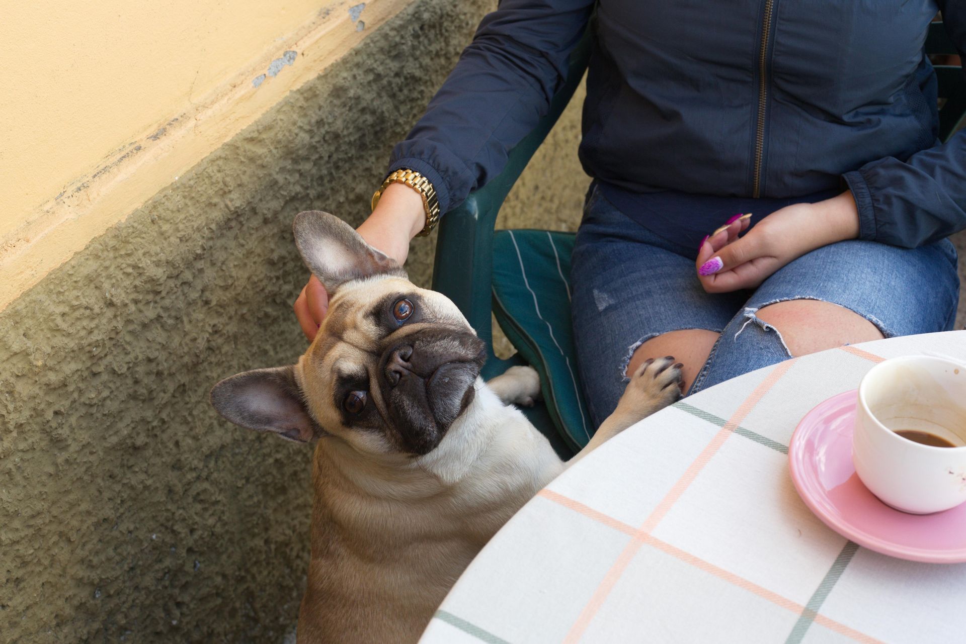 A woman is sitting at a table with a dog and a cup of coffee.