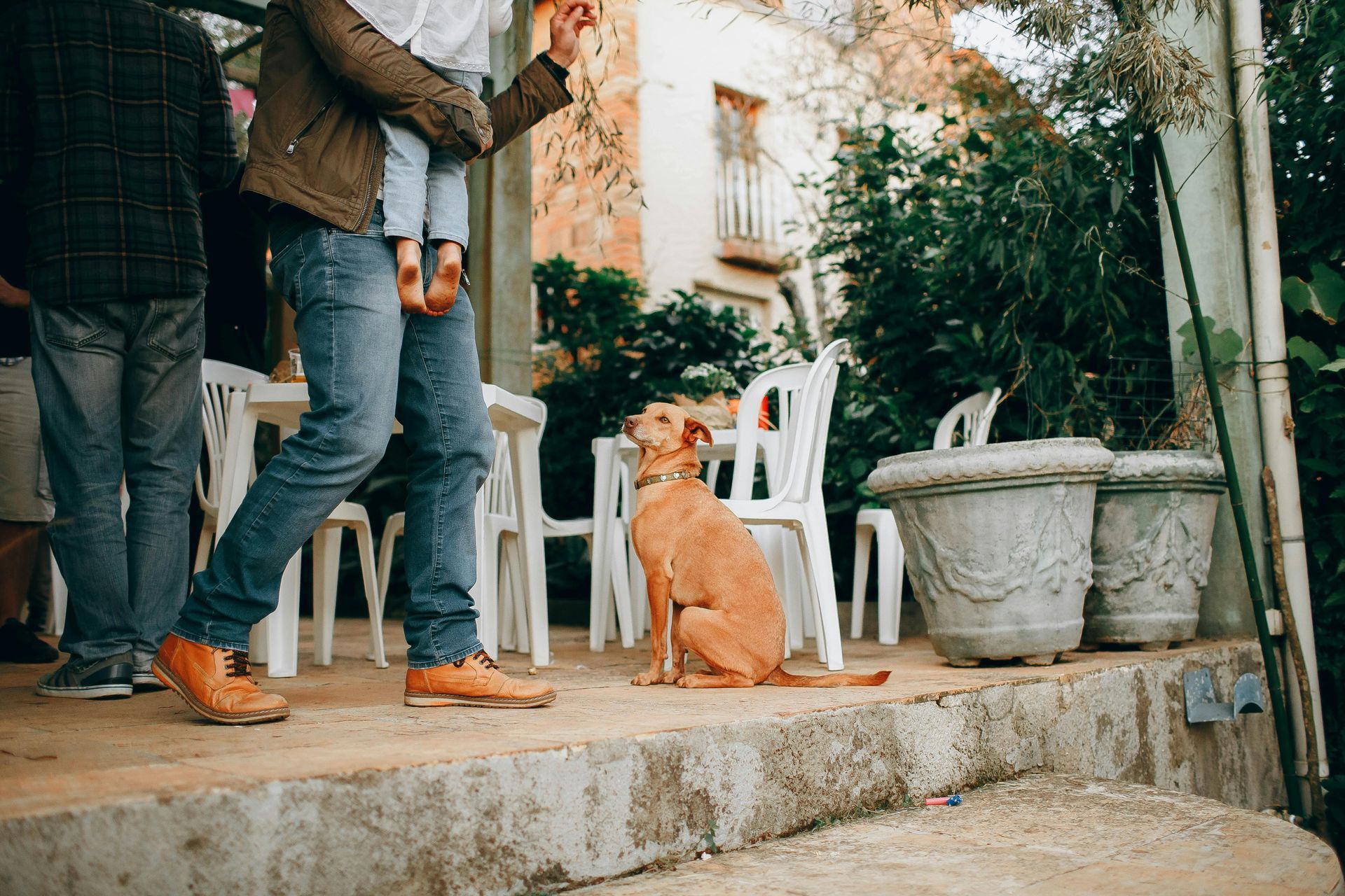 A man is standing next to a dog on a porch.