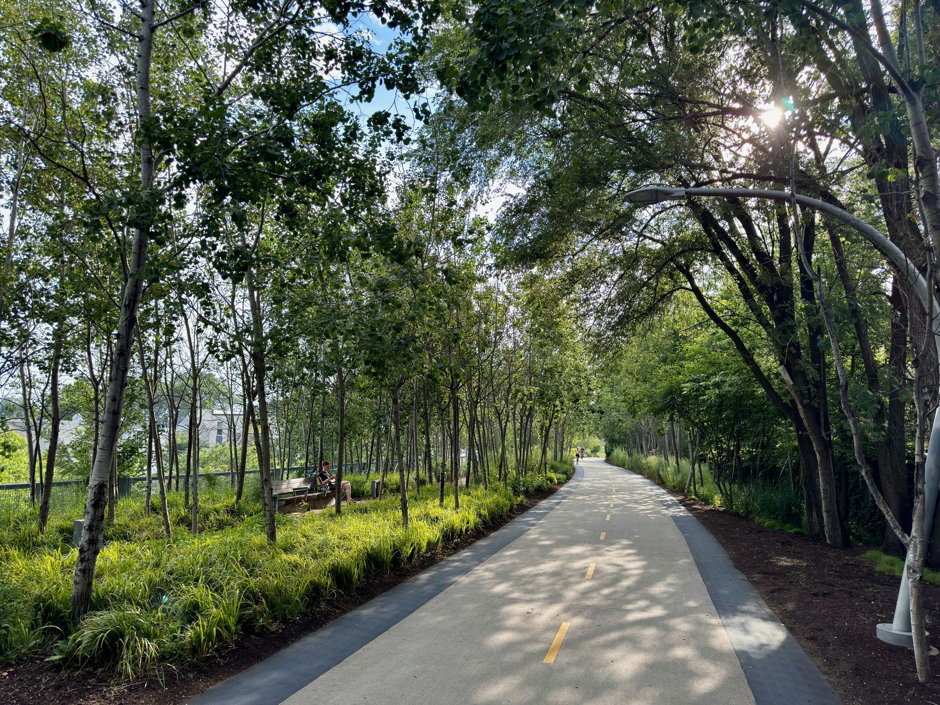 Paved path through a lush green tree tunnel with the sun shining through, creating light and shadows.