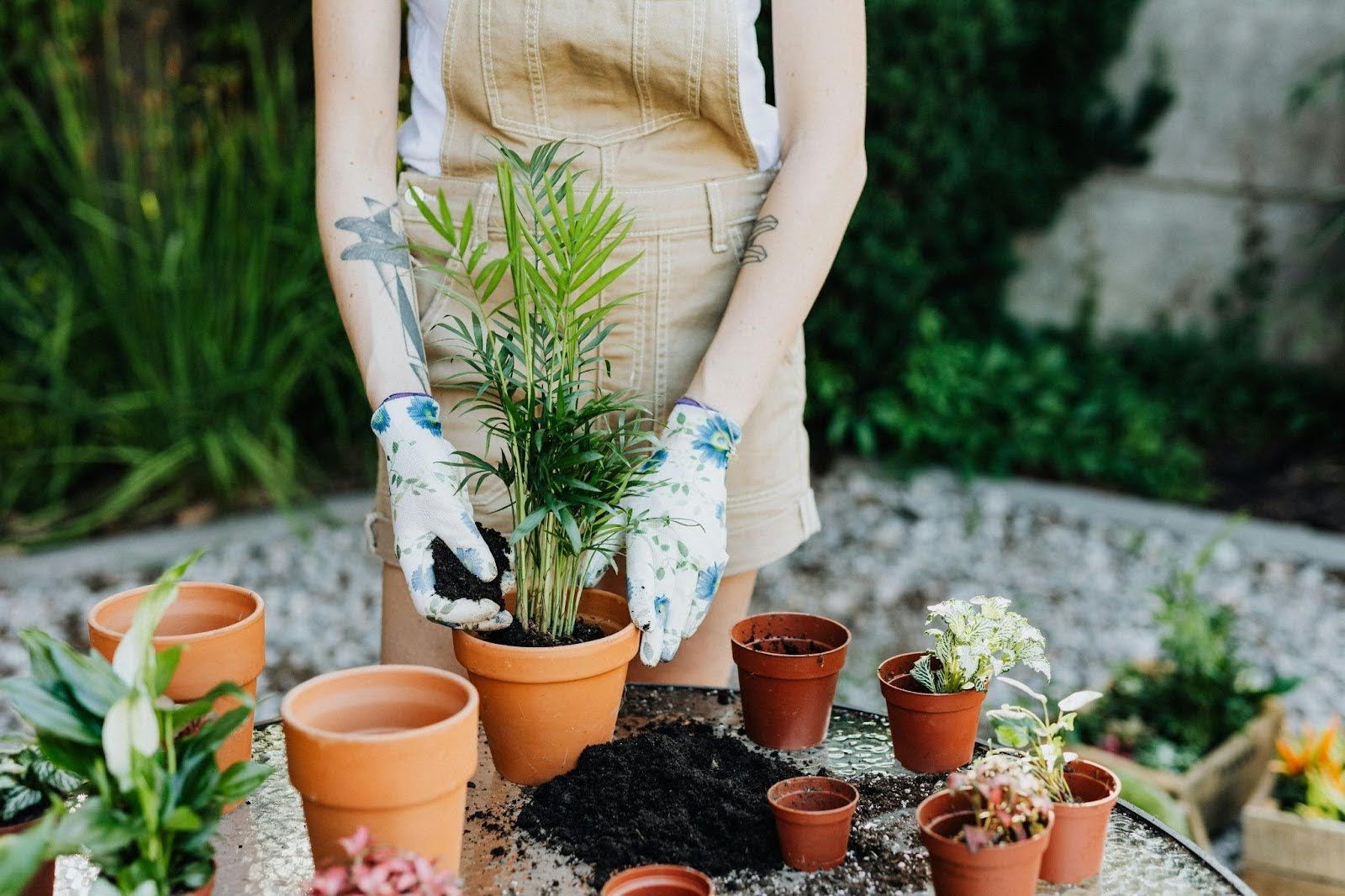 A woman is planting a plant in a pot.