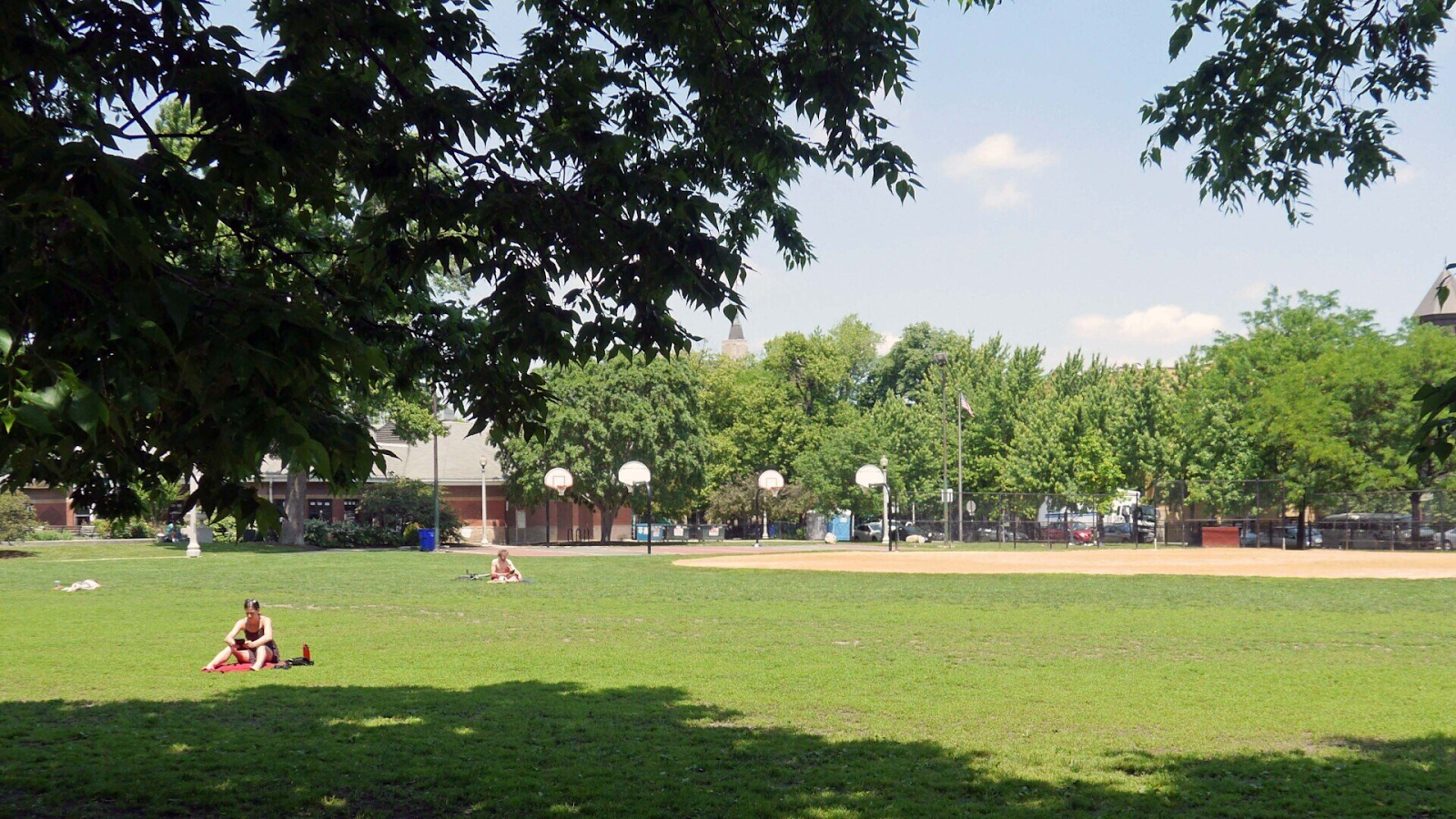 Wicker Park/Bucktown scene with people on the grass; trees in the background under a sunny sky.