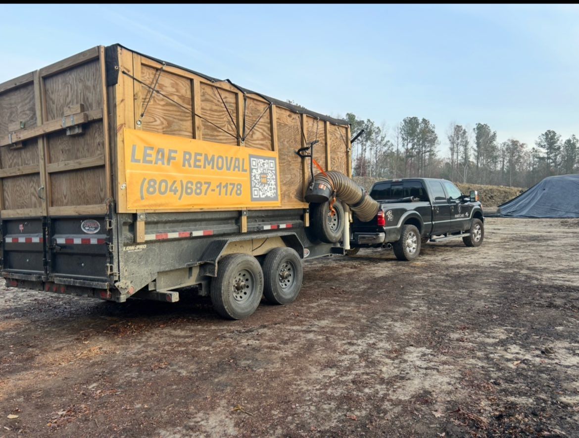 A lush green lawn with round trimmed shrubs in the foreground and a seating area with plants in a modern garden.