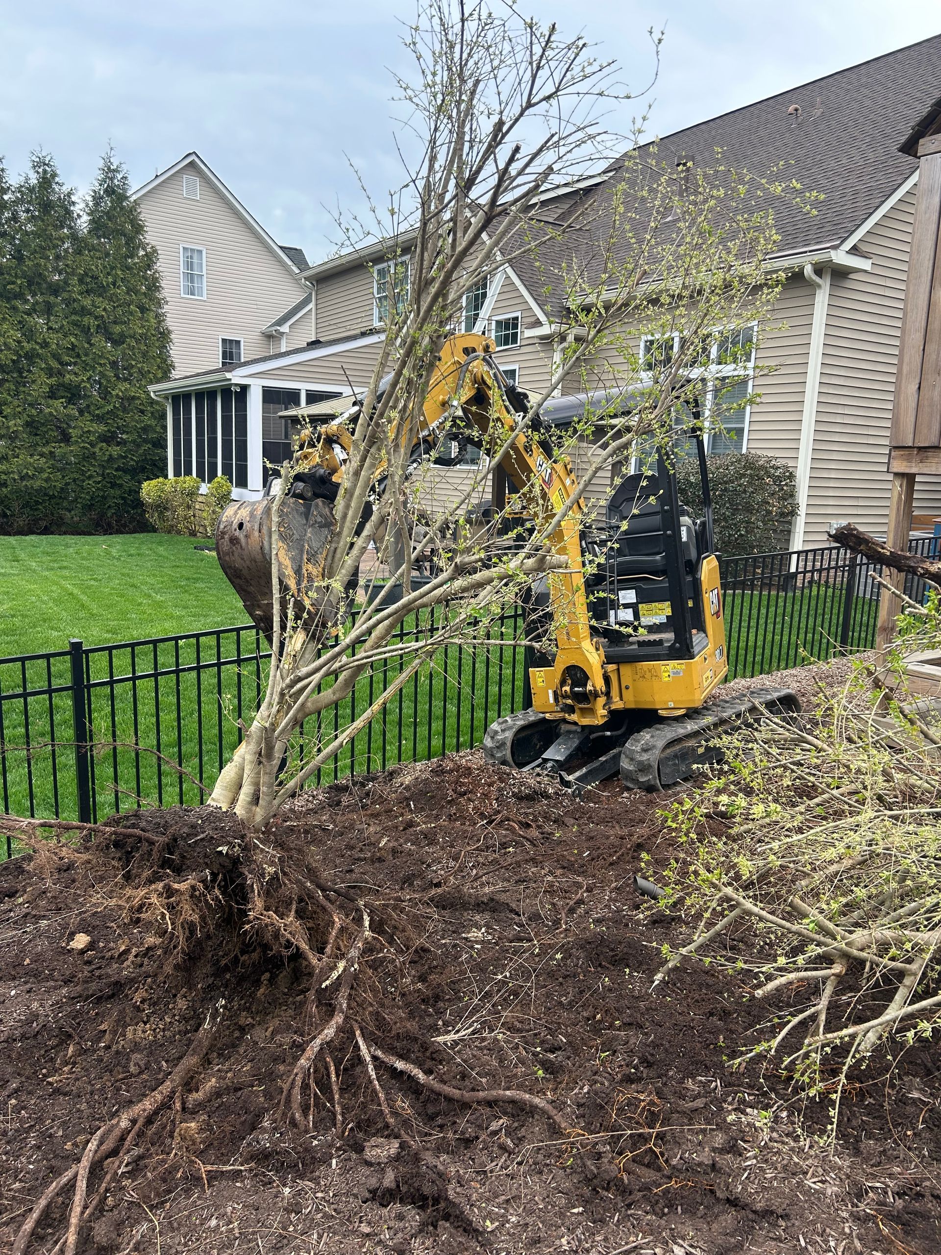 A yellow mini excavator lifts a small tree by its exposed root ball in a residential backyard.
