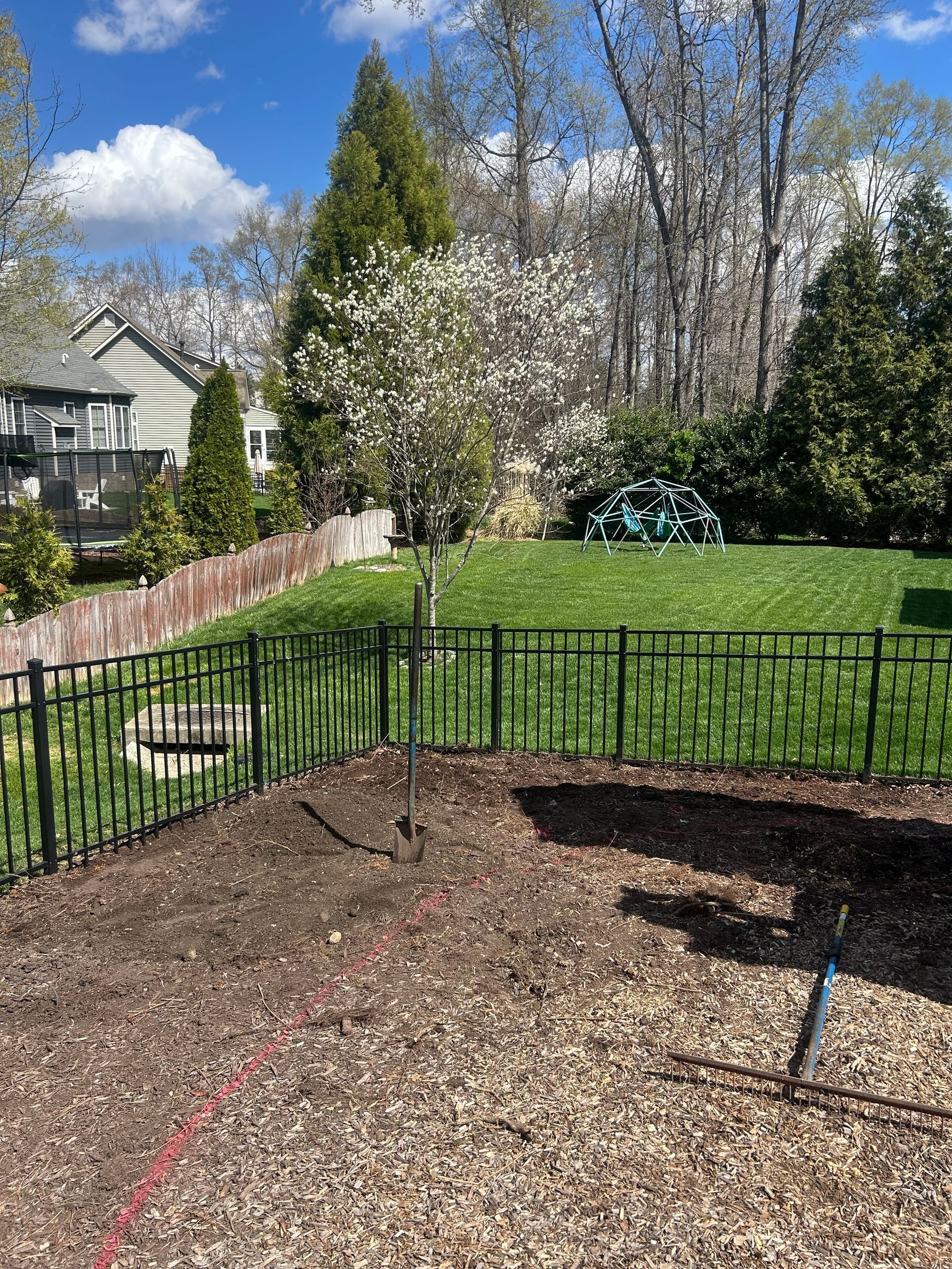 A black metal fence separates a mulch-covered front yard from a green lawn with a blooming tree under a blue sky.