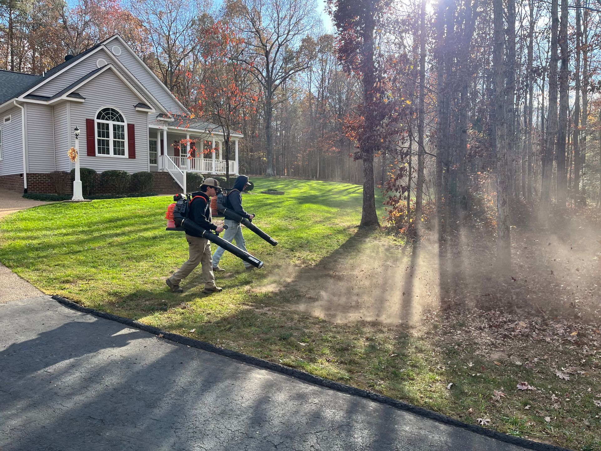 A lush, mowed green lawn winds through a vibrant botanical garden filled with colorful flowers and trees.