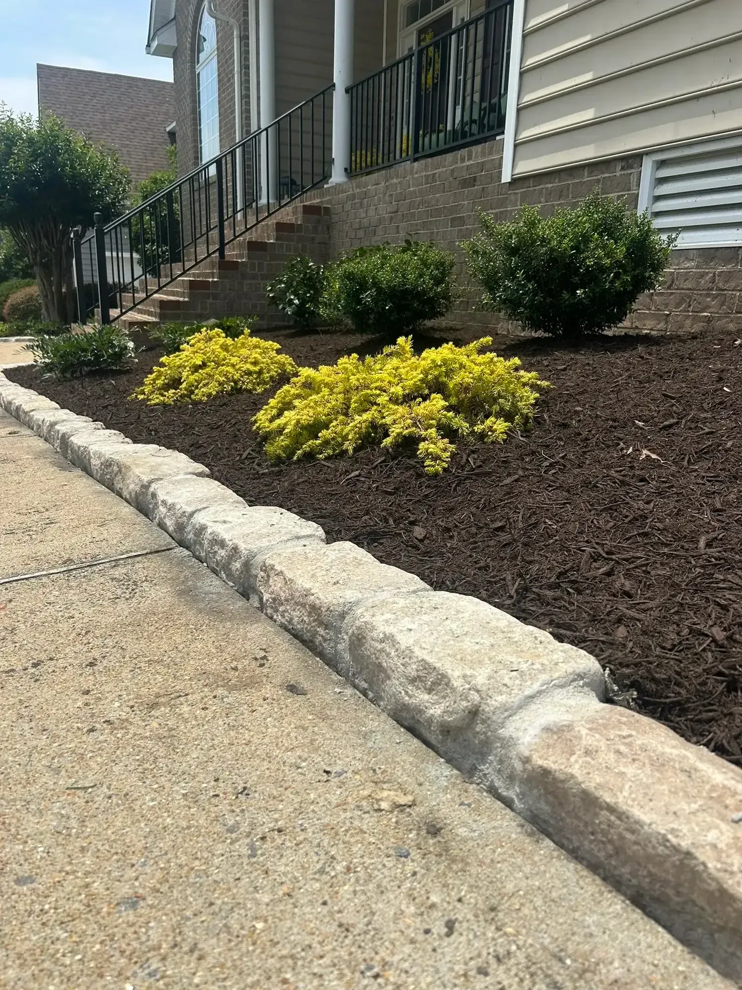 A stone border lines a sidewalk beside a residential house with mulch, yellow shrubs, and green bushes.