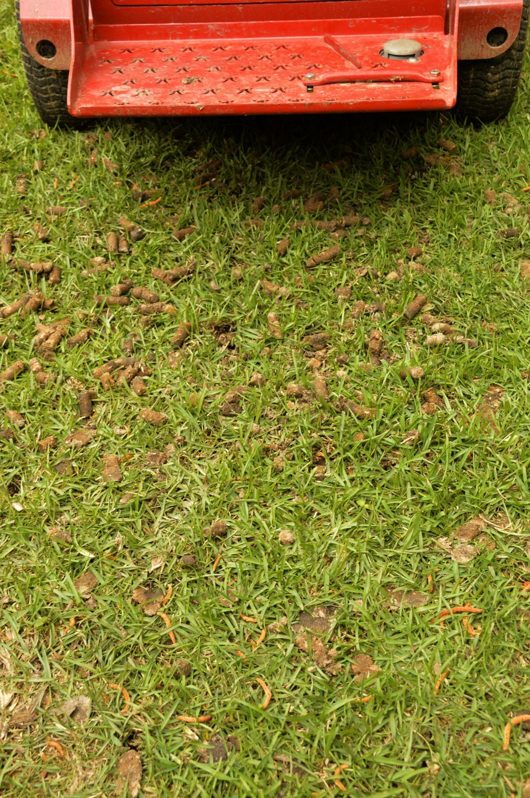 A two-story brick and siding house with a tan shingled roof, set against a backdrop of trees with a green front lawn.