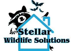 Logo: Raccoon, bats, and bird over a blue house outline; 