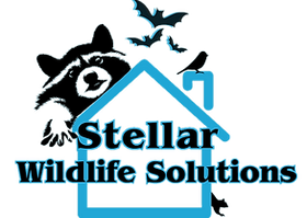 Logo: Raccoon, bats, and bird over a blue house outline; 