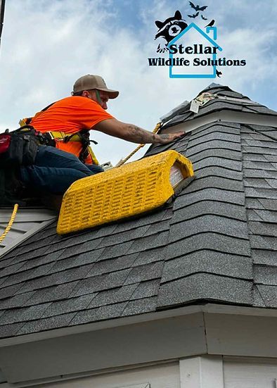 Man in safety gear repairs roof shingles; Stellar Wildlife Solutions logo in corner.