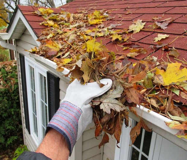 A person is cleaning a gutter with leaves on it