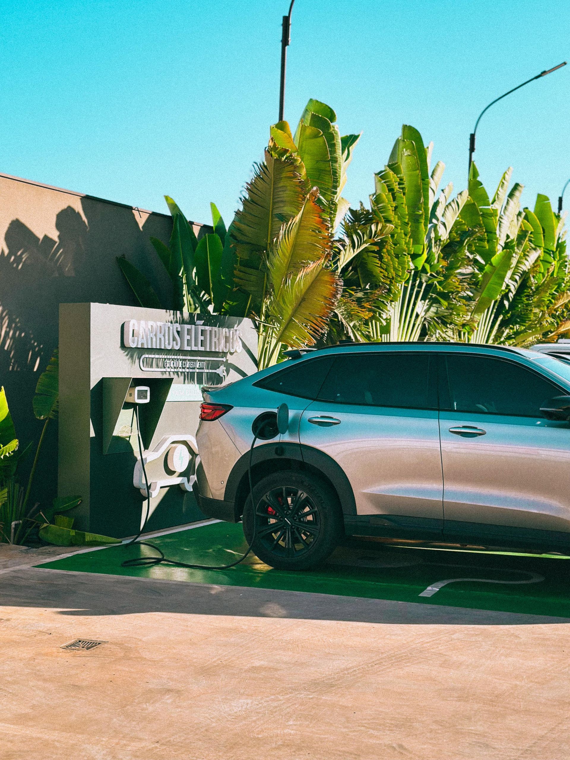 Um papagaio azul e amarelo está em pé em um galho de árvore na chuva.