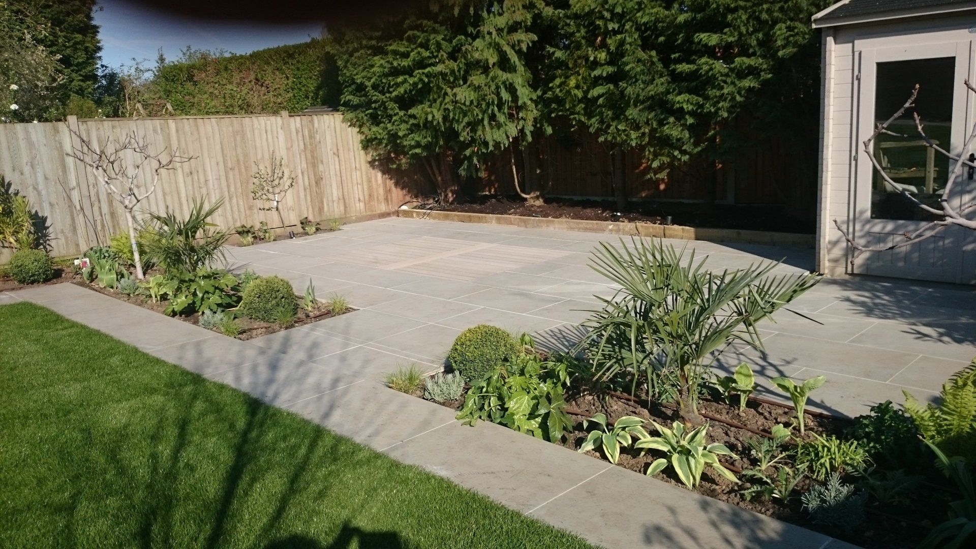 A concrete walkway leading to a shed in a backyard.
