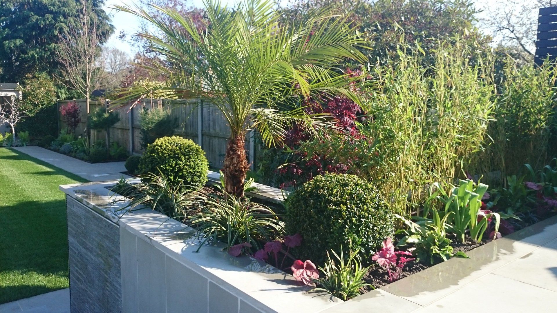A garden filled with lots of plants and flowers
