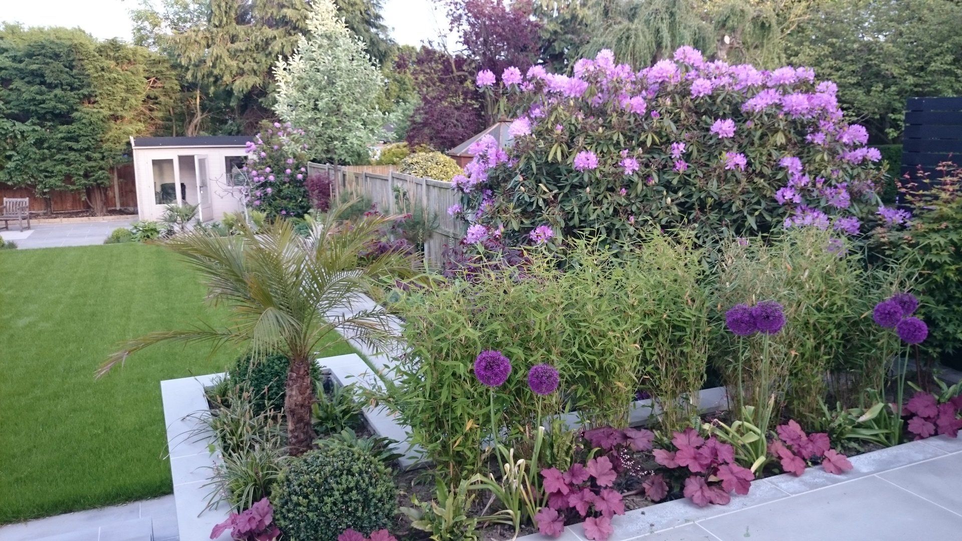 A garden filled with lots of purple flowers and plants.