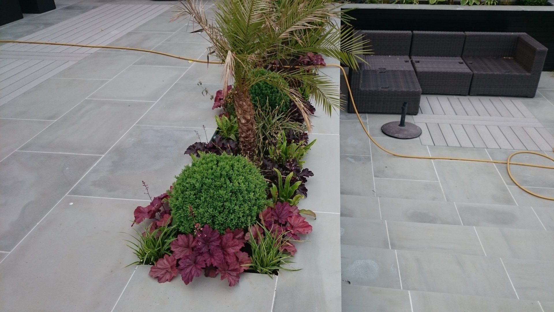 A patio with a couch and plants on it
