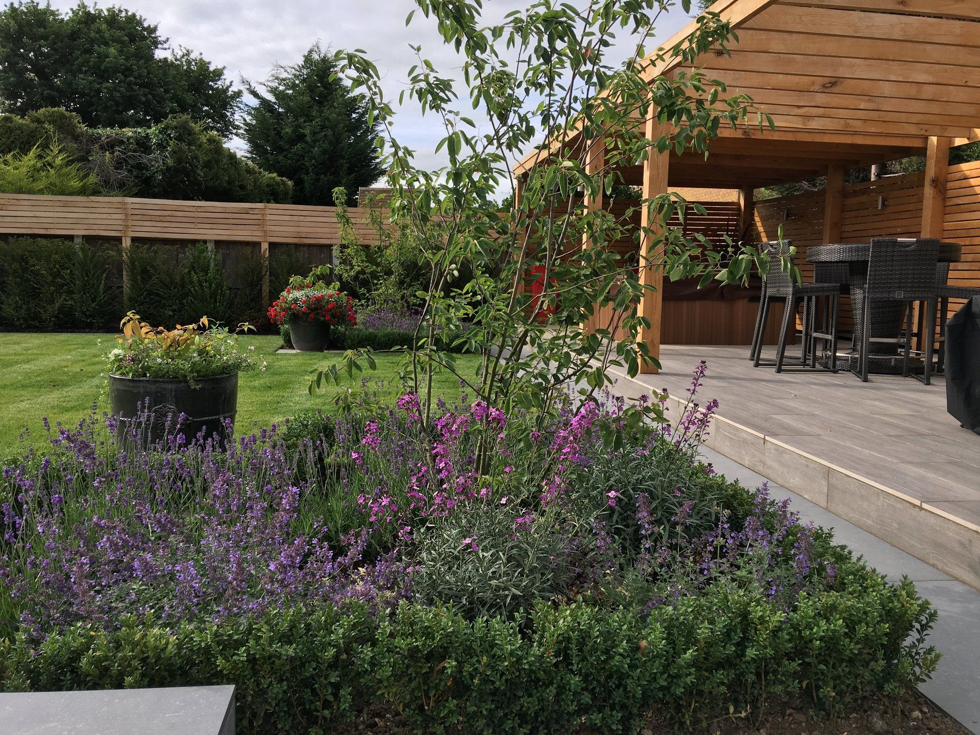 A garden with purple flowers and a wooden structure in the background.