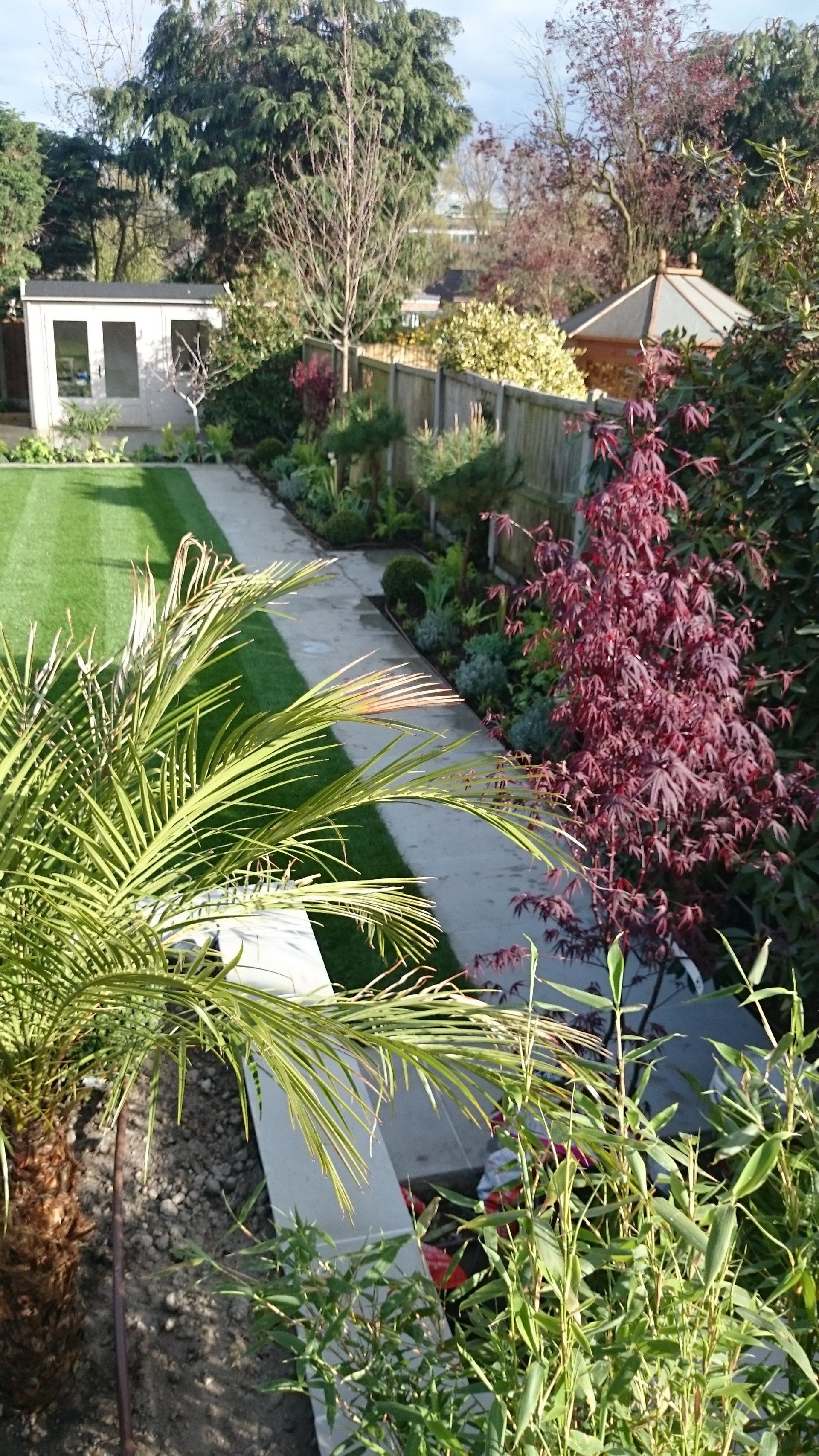A lush green garden with a path leading to a shed.