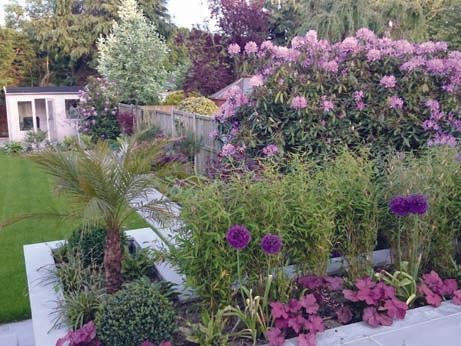 garden designers Stock Gardens of Stock Billericay Essex