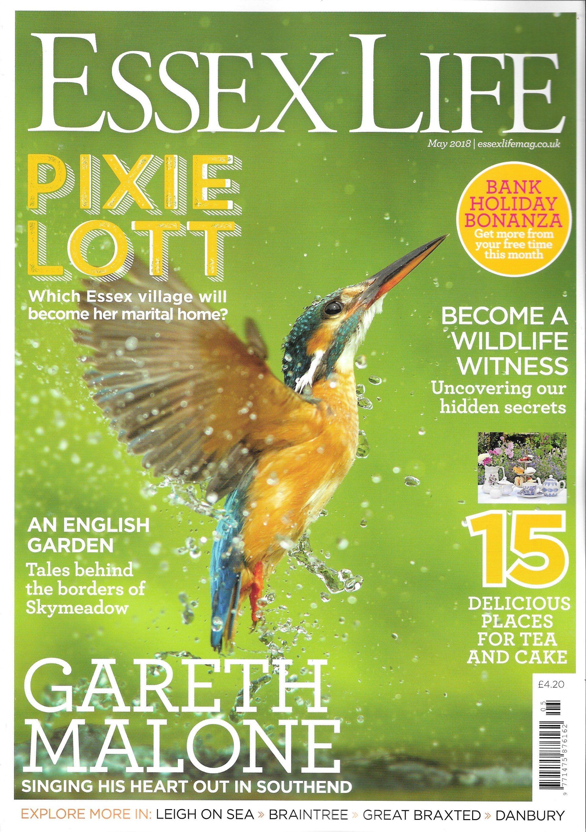 Gardeners Billericay Stock Garden garden maintenance and makeovers