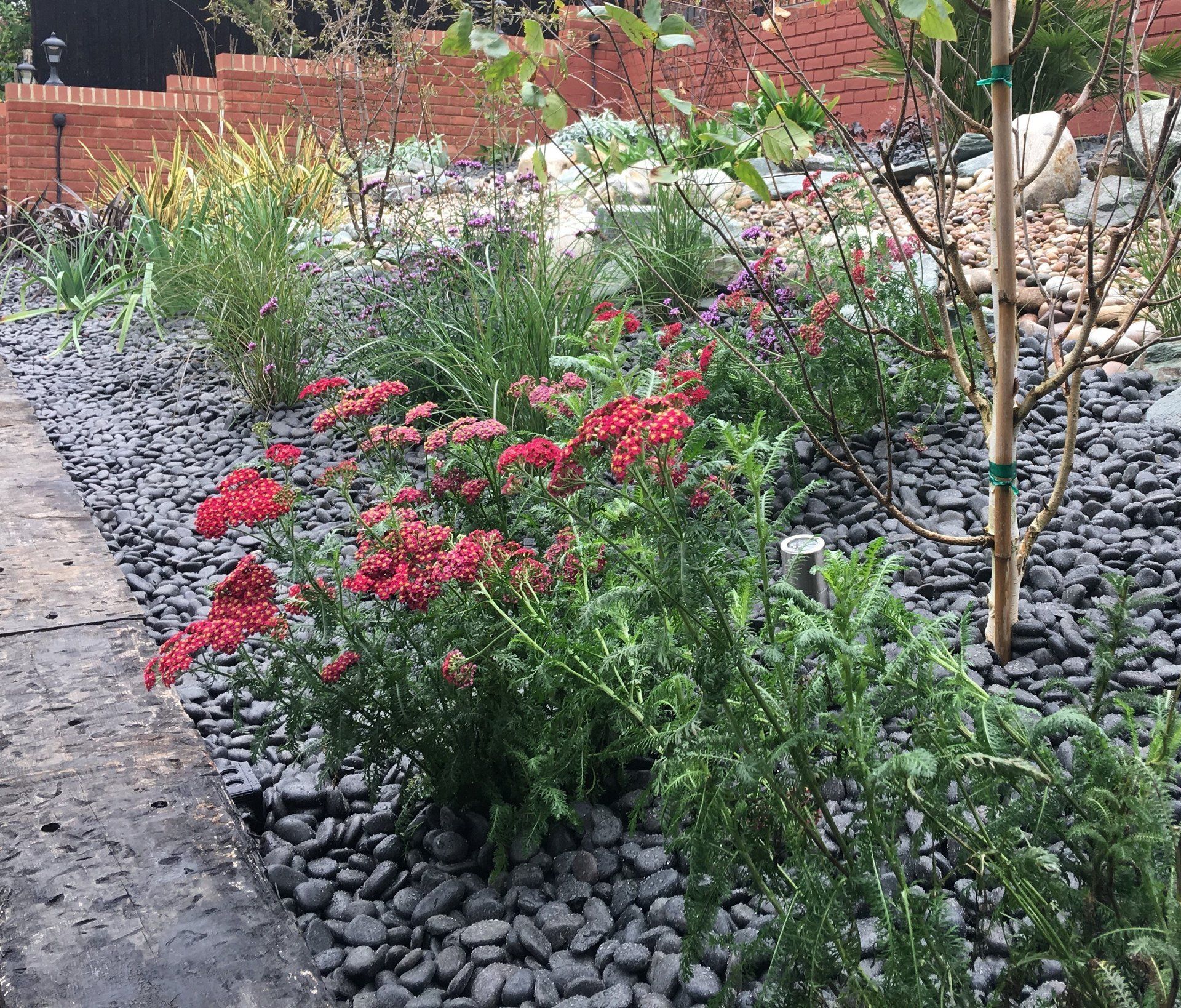 A garden filled with lots of flowers and rocks.