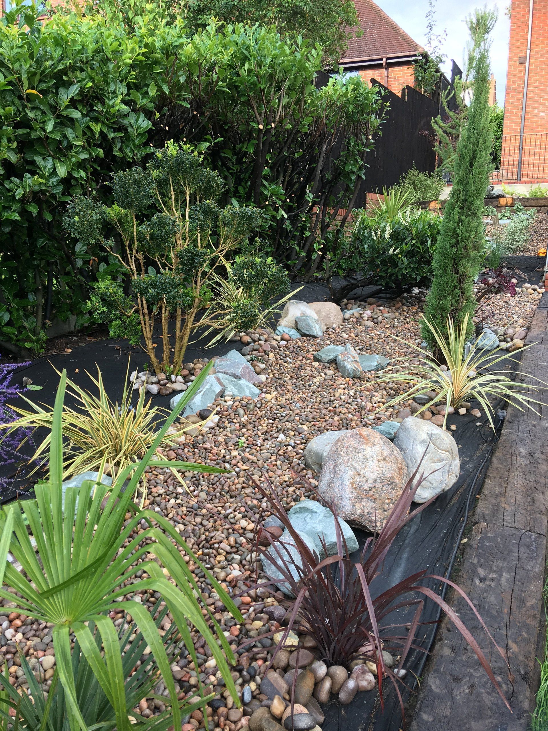 A garden filled with rocks , plants and trees.