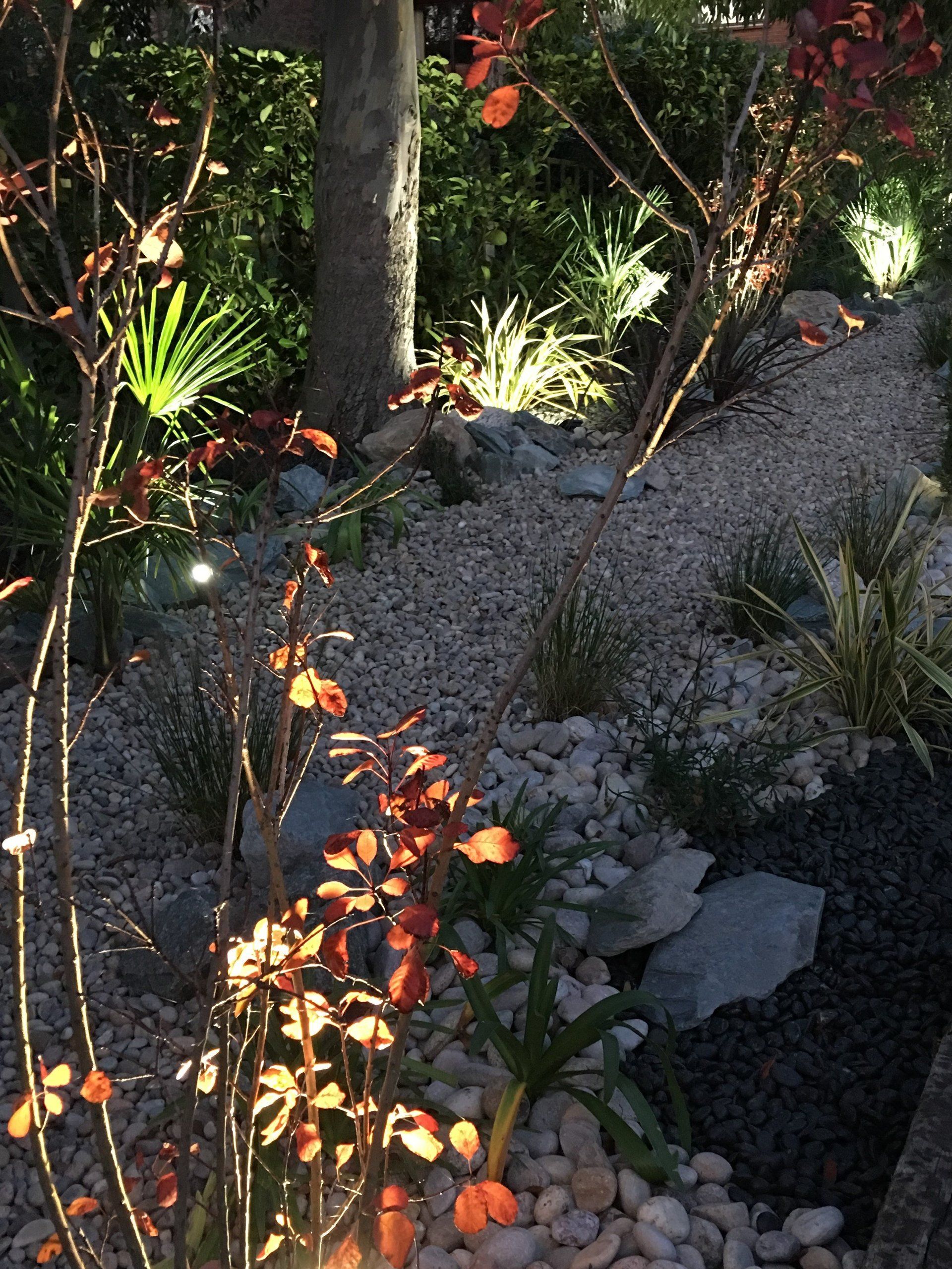 A garden filled with rocks and plants with a tree in the background