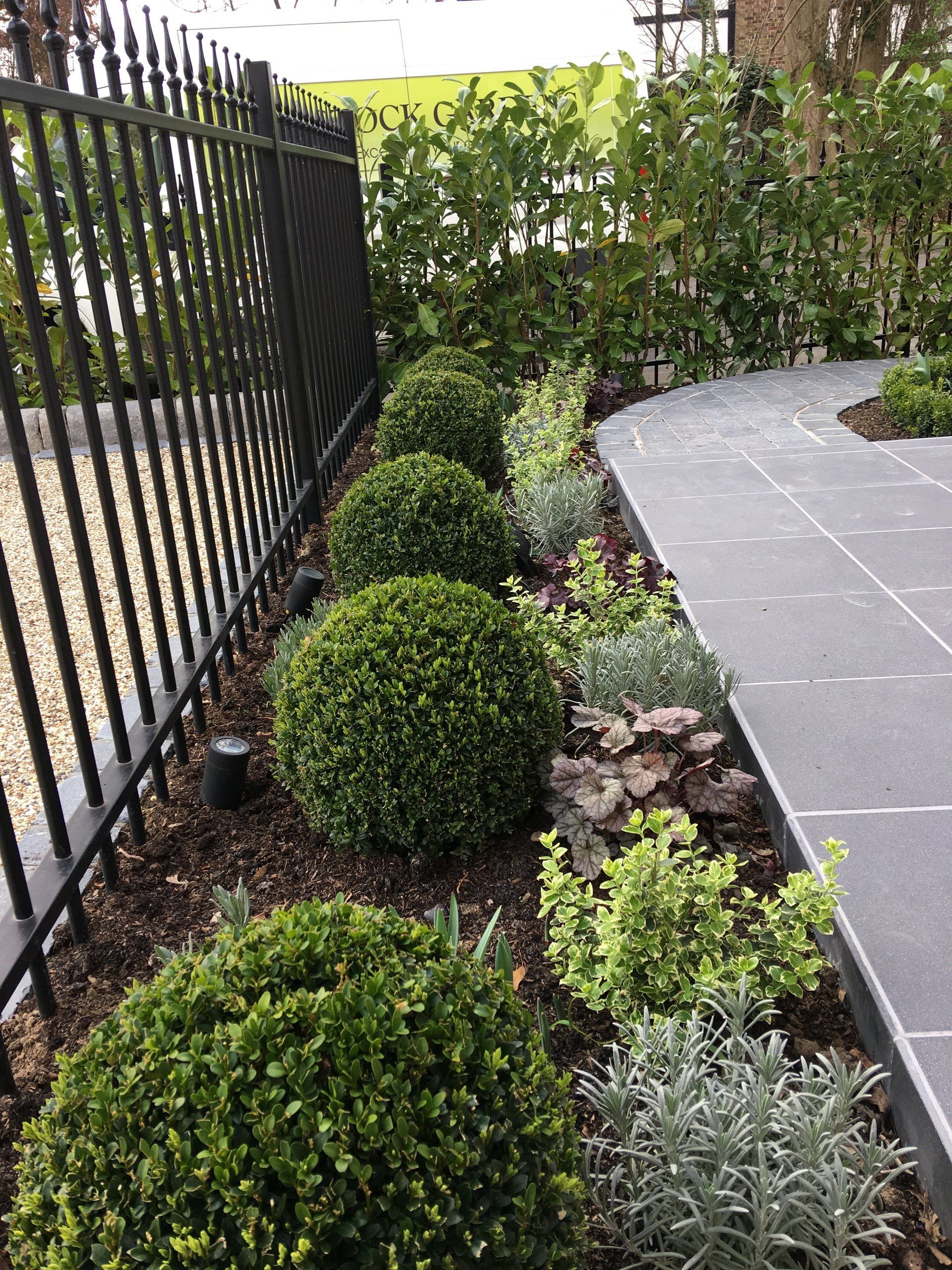 A row of bushes along a sidewalk next to a fence.