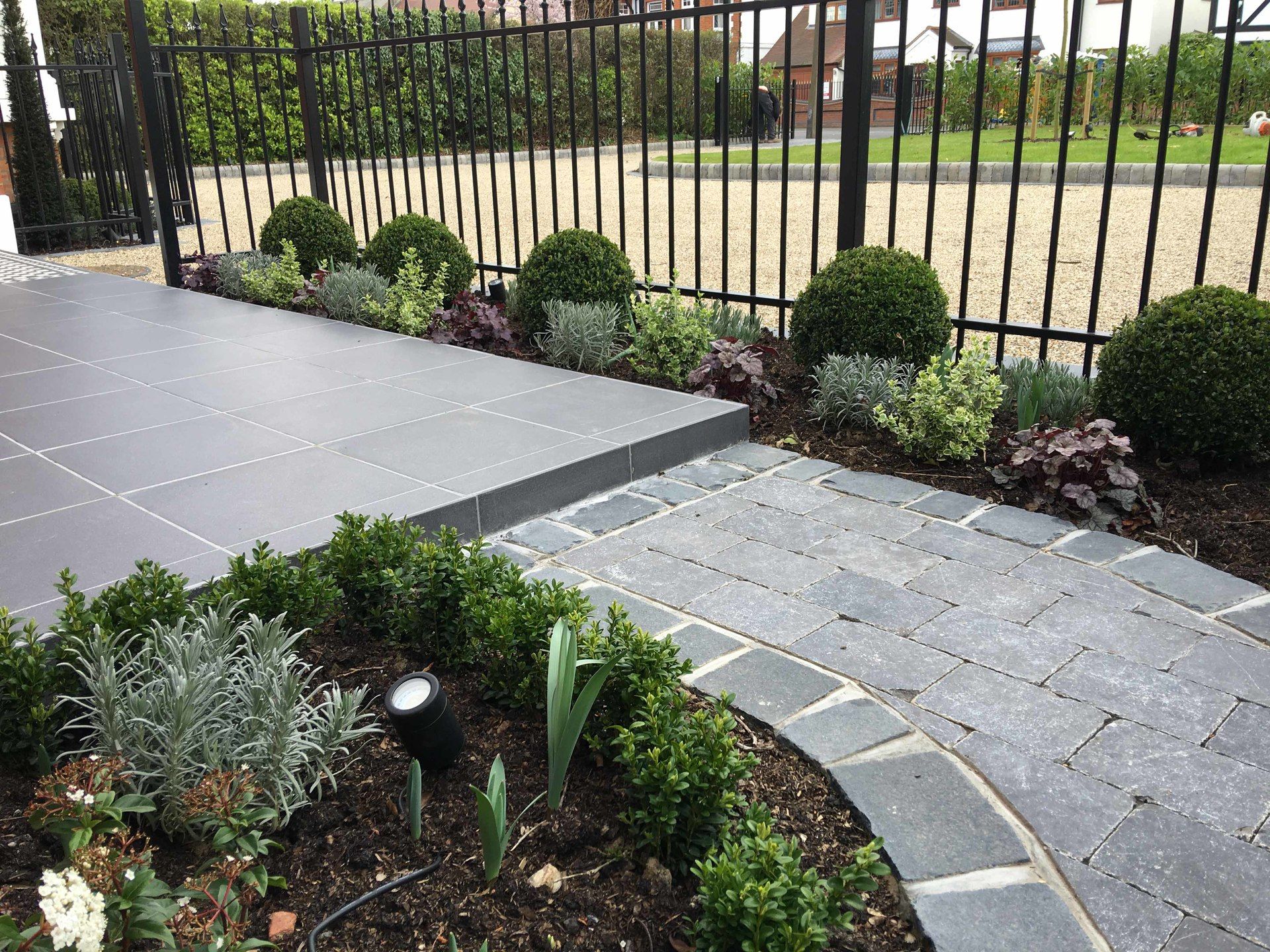 There is a fence in the background and a walkway in the foreground.