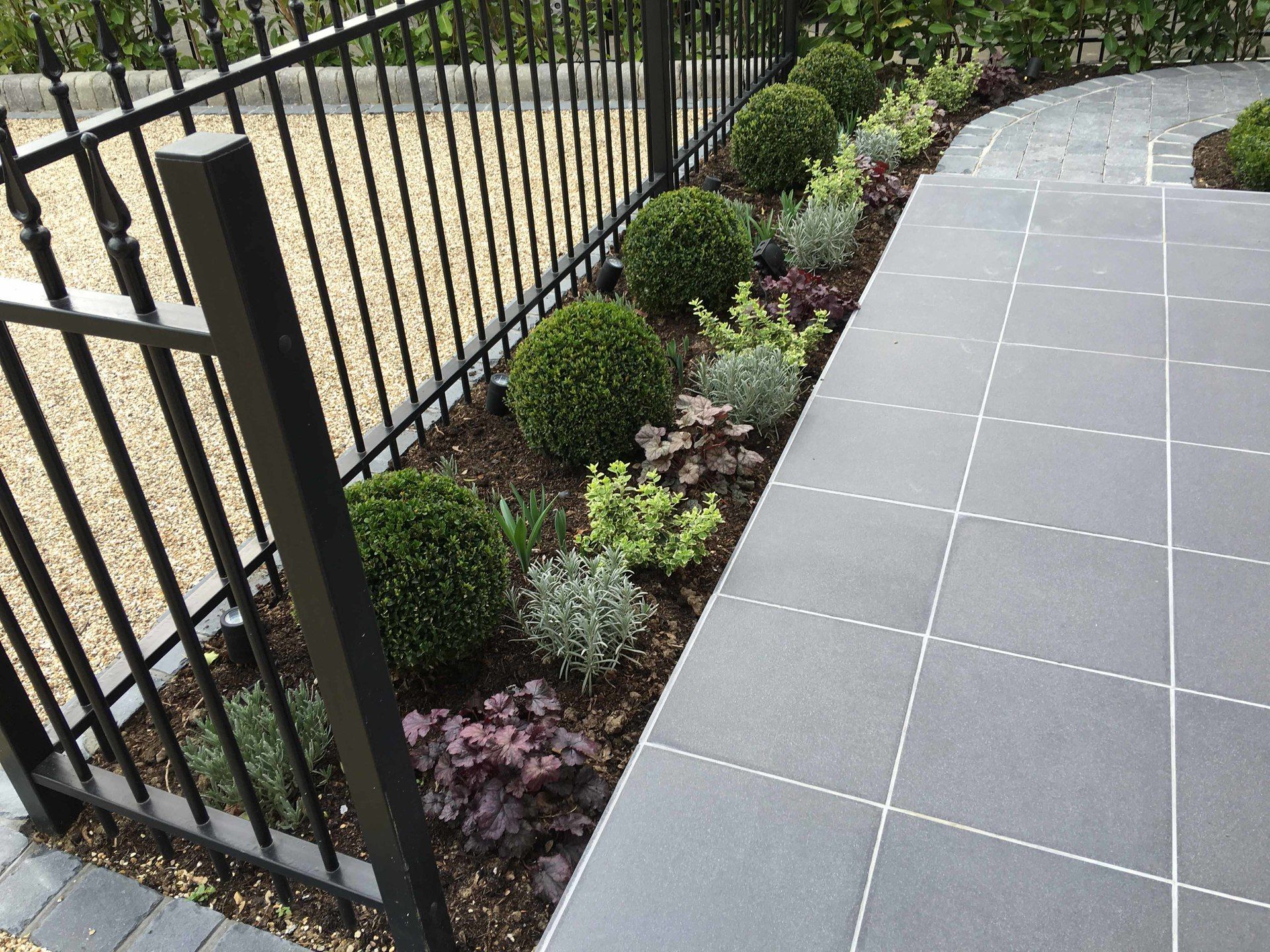 A fence with a row of plants in front of it