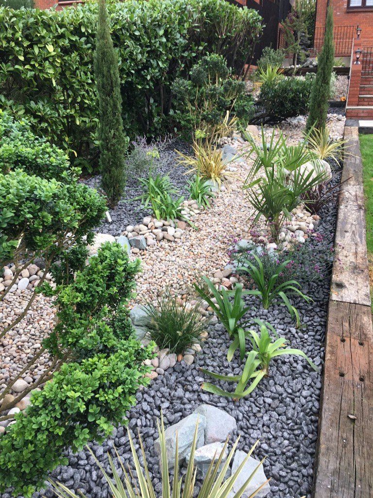 A garden filled with lots of plants and rocks.