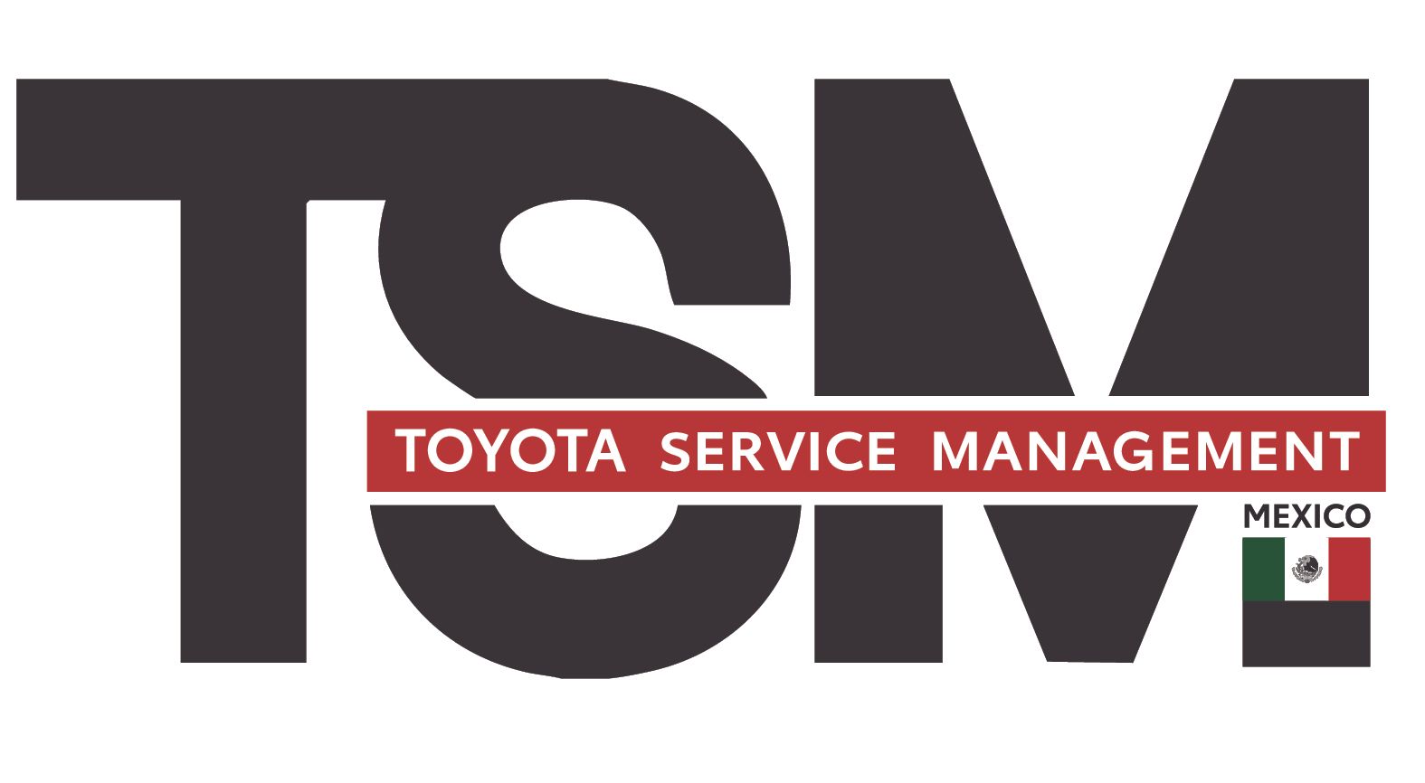 Pneu preto de carro e pessoa com documento de serviço da Toyota; logotipo TSM.