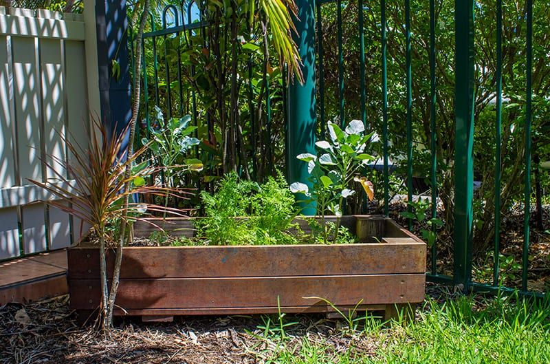 Growing plants, planting seeds. Nature play.  Childcare, kindy, Montessori, Gold Coast, Warwick, Jindabyne.