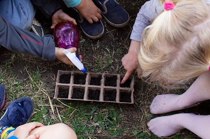 Growing plants, planting seeds. Nature play.  Childcare, kindy, Montessori, Gold Coast, Warwick, Jindabyne.