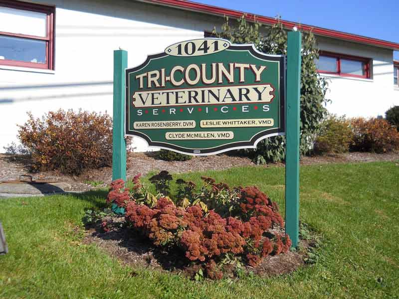 Quality Pet Medical & Surgical Services Loysville, PA TriCounty