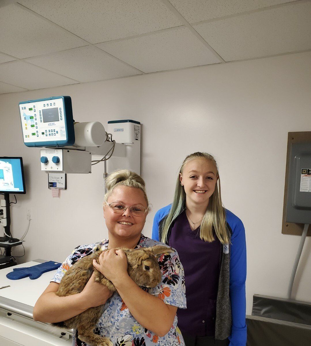 Quality Pet Medical & Surgical Services Loysville, PA TriCounty