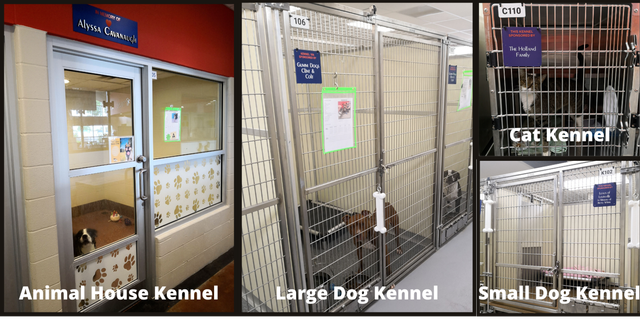 LMAS Empties Dozens of Kennels