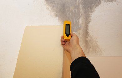 Mold Damage Restoration — Man Inspecting The Mold On The Ceiling in Los Angeles County, CA