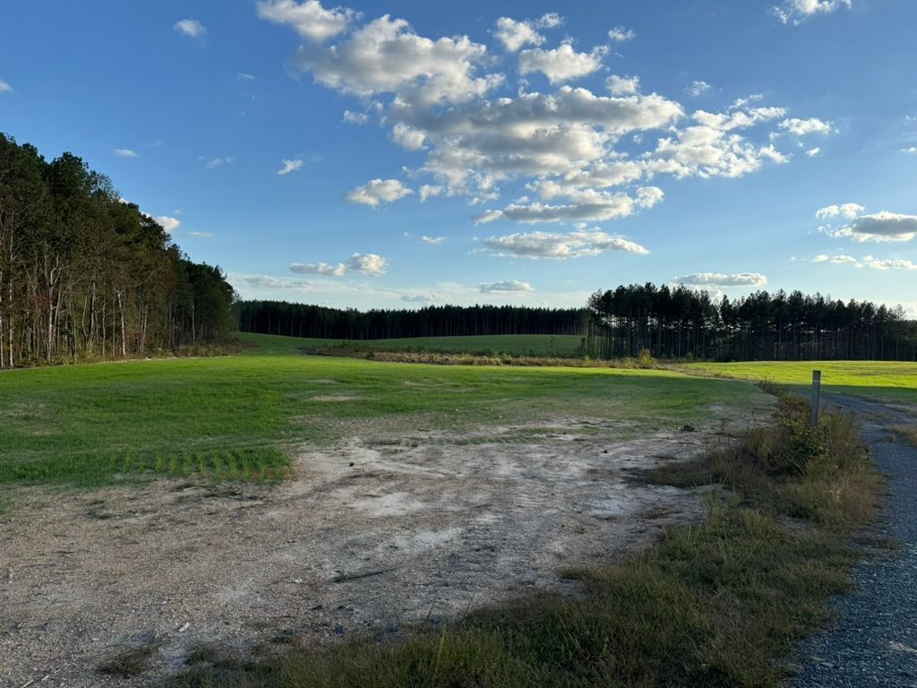 A dirt path borders a field of green grass with a line of tall pine trees under a blue sky with scattered clouds.
